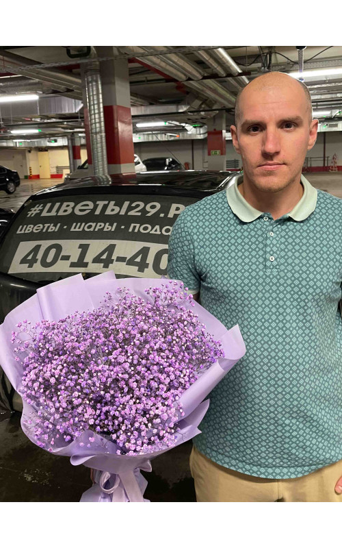 9 Гипсофил в упаковке