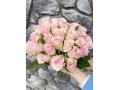 Роза Кения 29 шт