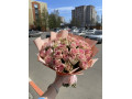 Роза Кения 51 шт  в упаковку